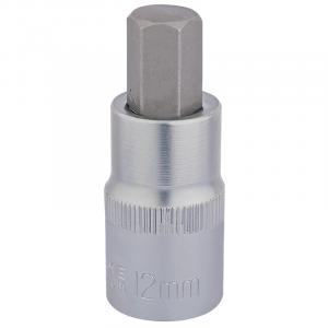 12 x 55mm Hex Socket