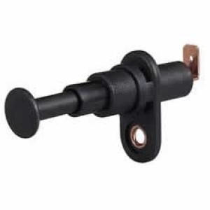 Telescopic Courtesy Light Switch