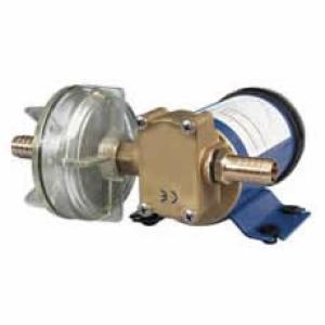 12V Liquid Transfer Pump - 14 Litre/ Minute