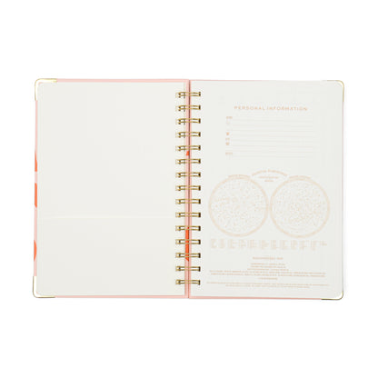 13 Month Perpetual Planner - Plans - Image 3